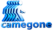CameGone